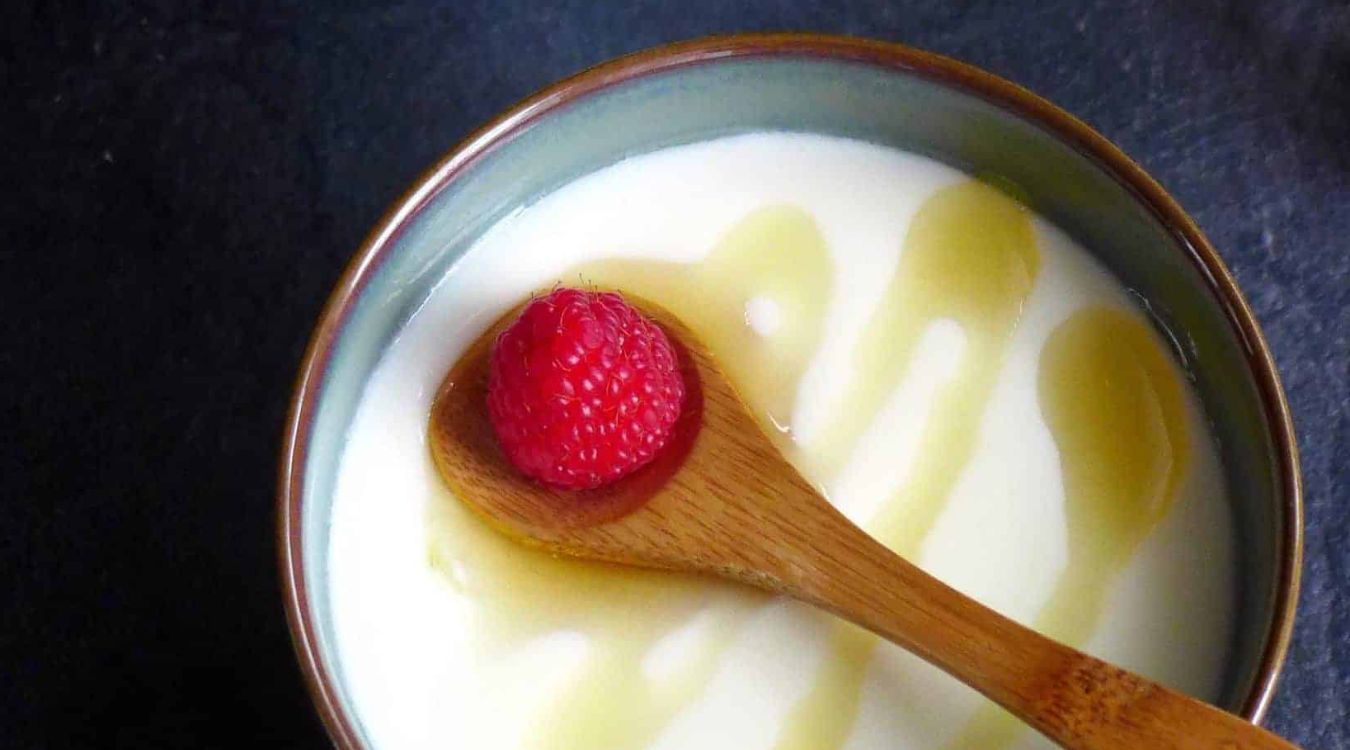 ginger-milk-pudding-recipe