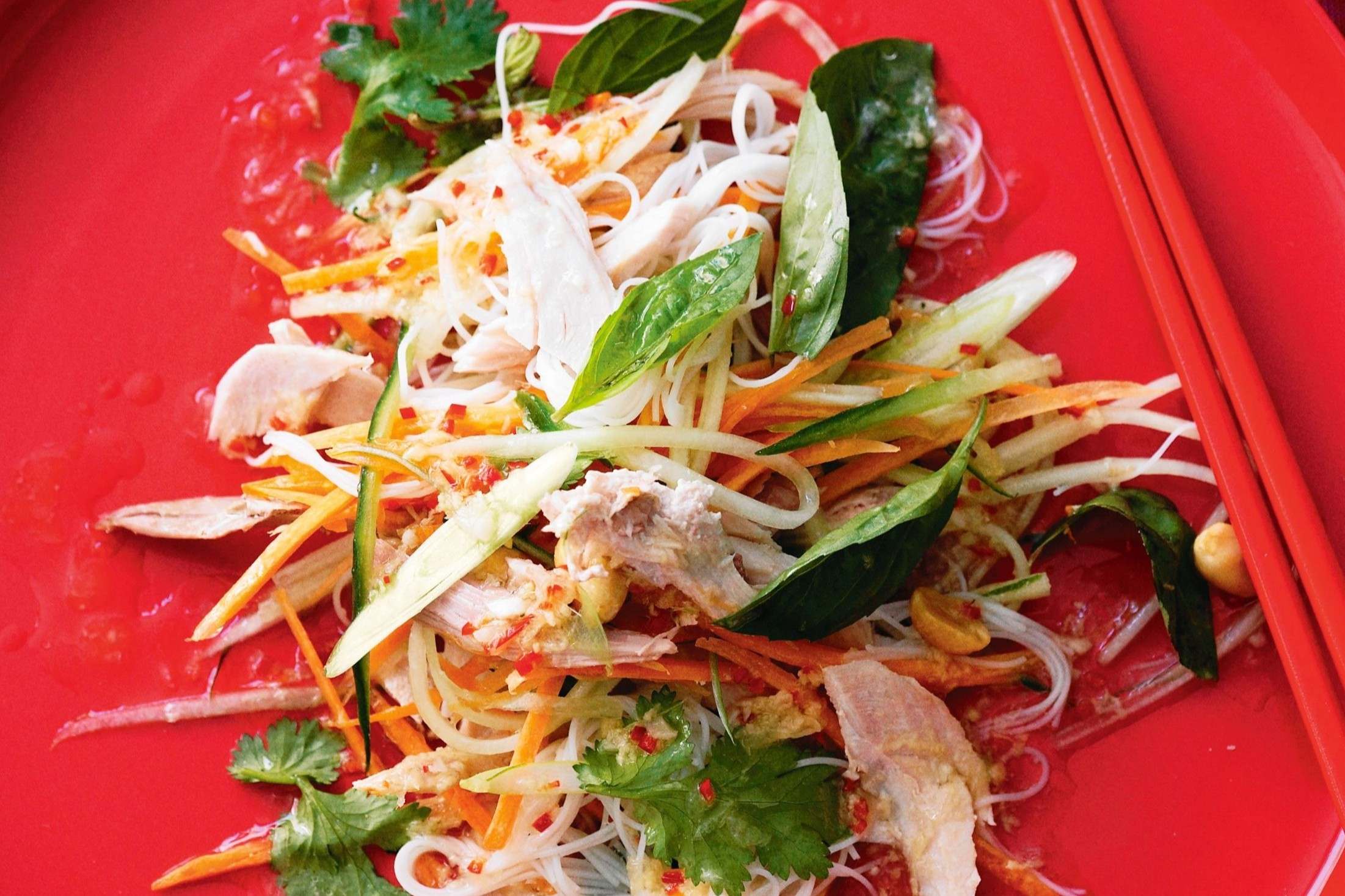 thai-turkey-salad-recipe